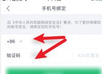 关于纸飞机app为什么我的手机号不发验证码的信息