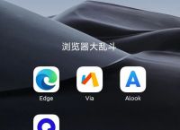 [via浏览器下载]via浏览器下载官网