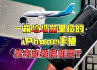 [苹果下载飞机用不了]iPhone下载小飞机