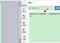 [纸飞机app怎么翻译成中文]纸飞机app怎么弄成中文版的