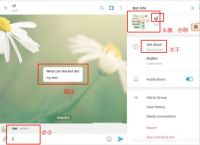 [telegram设置语言包]Telegram怎么设置语言
