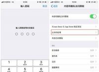 [飞机苹果怎么设置中文版教程]iphone飞机怎么弄成中文版