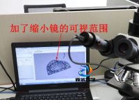 [microscope什么意思]microscope什么意思英语