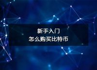 比特币怎么买入-比特币怎么买入比特币