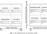 acculturation语言学-语言学analogical creation