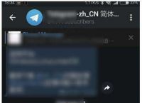 Telegram用什么加速器快的简单介绍