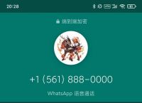 googlevoice有什么用-google voice 可以干什么