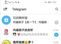 飞机Telegram聊天软件的简单介绍