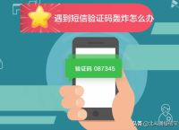 [iPhone纸飞机收不到验证短信]纸飞机app为什么我的手机号不发验证码