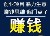 [飞机软件偏门生意项目大全]大家说的飞机软件是什么软件