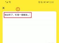 [纸飞机app汉化版]纸飞机中文版下载app