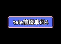 tele聊天软件-teleplus聊天app