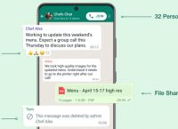 whatsapp的中文-whatsapp英文怎么翻译成中文