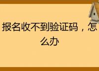 国内注册收不到验证码怎么办-中国手机号注册为什么收不到信息