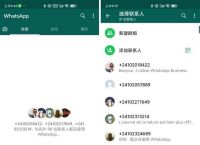 包含国内手机whatsapp如何能用的词条