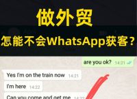 whatsapp官网下载安装最新版本-whatsapp官方网下载安卓2020手机版