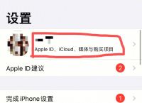 苹果在哪下载app软件-苹果在哪下载app软件收费吗