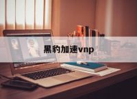 黑豹加速vnp-黑豹加速器下载永久免费版