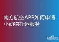 飞机app英文转换成中文-飞机app英文转换成中文版