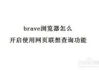 brave浏览器是哪个国家的-brave浏览器的中文名是什么