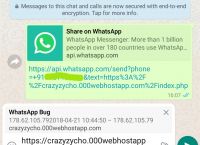 whatsapp怎么说-whatsapp英文怎么发音