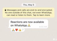 whatsapp检查新消息-whatsapp检查太多数字什么情况