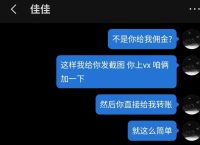 海鸥下载app-海鸥加速器安卓下载app