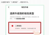 怎么下载数字钱包app-数字货币钱包怎么下载专家讲解视频