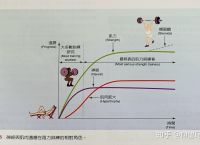 一般等价物的两个决定因素-一般等价物的两个决定因素是