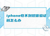 telegraph收不到短信-telegraph收不到短信验证码