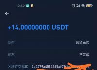 USDT的钱包地址-usdt的钱包地址为什么会变