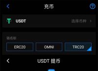 USDT的钱包地址是干什么的的简单介绍