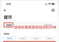 关于bitpie钱包中文版下载的信息