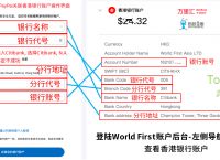 paypal里的钱怎么提现-paypal 的钱如何提现到国内