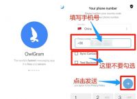 telegram怎么直接登陆的简单介绍