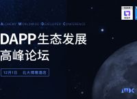 dapp、打pp的作文2000字以上