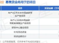 国家承认10家投资平台有哪些、国家承认10家投资平台有哪些安中食民安