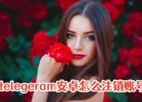 telegeram怎么注销账号,telegram莫名其妙被注销了