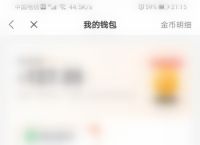 极速钱包怎么找不到了,极速钱包是不是不用还了