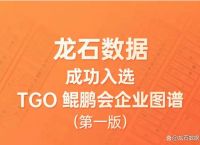 [TGO是什么]TGO是什么公司