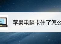 小狐狸钱包闪退打不开怎么办呢苹果,小狐狸钱包闪退打不开怎么办呢苹果手机