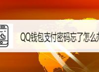 小狐狸钱包登录密码忘了怎么办,小狐狸钱包登录密码忘了怎么办呢