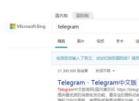 telegram网站浏览记录,telegram网页版登录入口