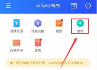 vivo钱包未通过审核,vivo钱包借钱申请暂未通过