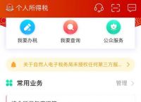 个人所得税app正版官方下载,个人所得税app正版官方下载注册苹果手机