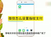 tp钱包如何设置指纹支付,tp钱包设置指纹支付有什么好处