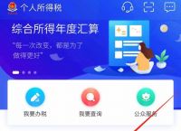 下载个人所得税app的操作方法,下载个人所得税app的操作方法有哪些