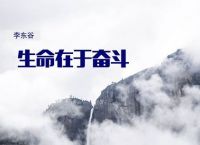 imToken钱包官网,tiktok官网下载入口