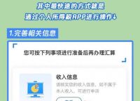 下载个人所得税退税app,下载个人所得税退税怎么操作