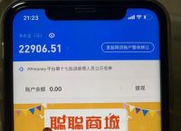 ppmoney现在怎么样,ppmoney现在怎么样了?2023年